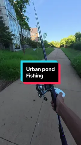 Fishing a corporate office #fishing #fishingvideos #bassfishing 