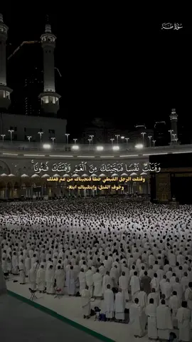 #ماهرالمعيقلي #تلاوات #سورة_طه #تلاوه_خاشعه #islam 