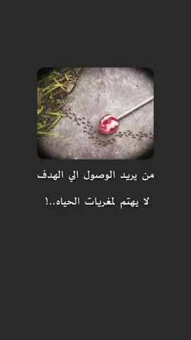 #اكسبلور #حلات_واتس #حقيقه #واقع #fypシ #fyp 