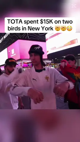 Tota maxed out on birds😳😳🤯#fypシ #tota #newyork 