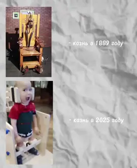 #капкут #имба #казнь #долг #картель 