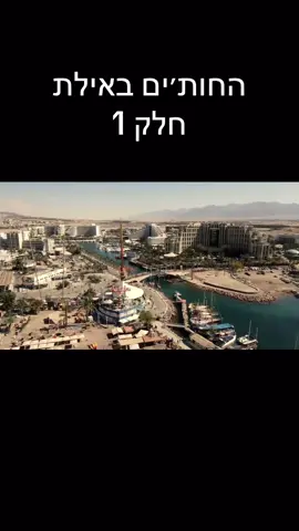 החות׳ים באילת חלק 1 #חות׳ים #אילת 