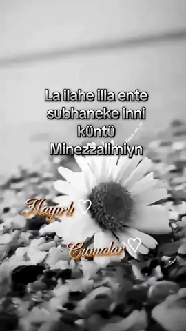 🤲🤲🤲🤲🤍🤍