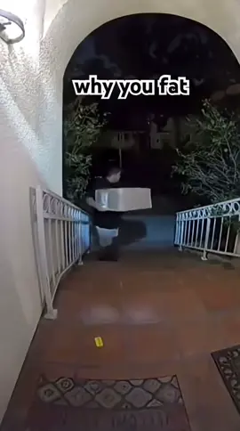 #fyp #funny #package #amazon #theif 