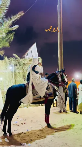 #like #الخيل_عشق_لاينتهي #fyp #مصراته #فرج_قنيب #خيل_وخياله🐎 