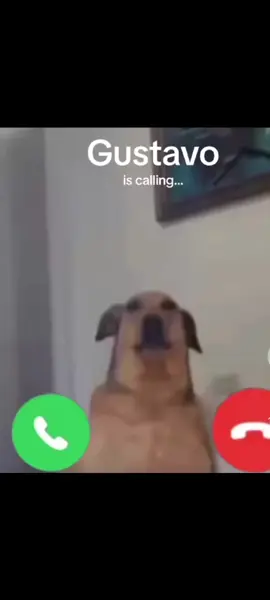 Gustavo It's calling you, my dears, don't forget to answer it 🔥🔥#discovery #discovery #Gustavoiscalling 