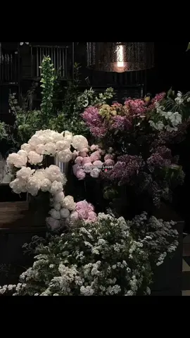 My sheila 🥹🩷#kayla #flowers #Girl #repost #fypシ゚ #aesthetic #flower #foryou #explore 