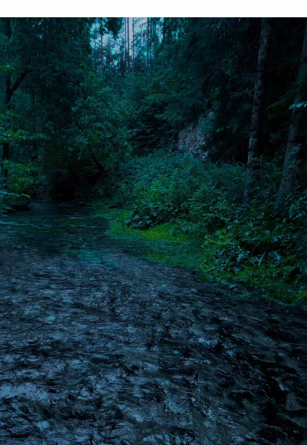🖤#nature #calm #darkaesthetic #aesthetic #naturephotography #foryоu #relax 