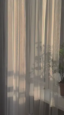 إن الله و ملائكته يصلون على النبي  | فارس عباد  #قران #قران_كريم #quran #فارس_عباد #الجمعه 