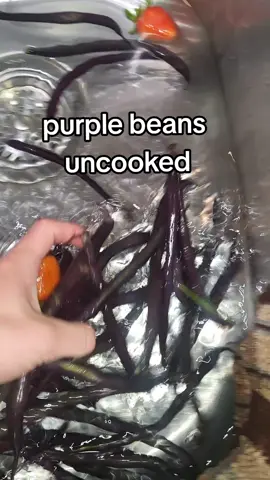 true story #beans #funfacts #purplebeans #greenbeans #fyp 