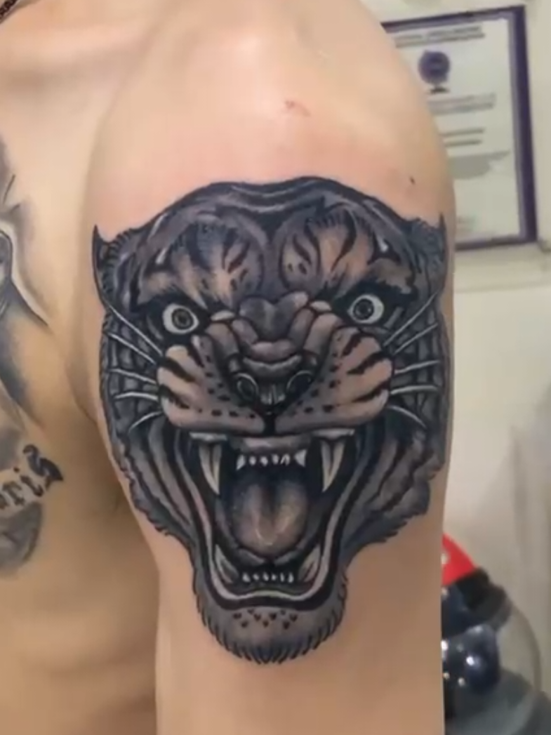 Neotraditional Tiger Concept  #neotradtattoo #neotradicional #tigertattoo #subantattoo #kenttattoostudio 