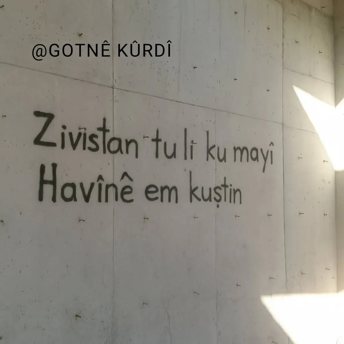 #GOTİNÊKURDÎ #kürcevideolar #keşfetteyizzz #keşfetteyizzz #beniöneçıkart #acilkesfet #evin #beyeni #helbestakurdi #kurçesözler #kesfetimiac 