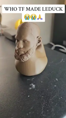 LeDuck commands his army of LeBuddha to victory against LeTitans @0. #bronny #basketball #lakers #lebronjames #lebron 