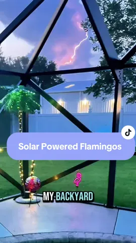 Who needs a tropical vacation when your yard has glowing flamingos? 🦩✨  #flamingo #solarpowered #tiktokshop #outdoorlighting #summervibe #fyp 
