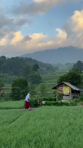 Suasana pagi yang indah, anak anak berangkat sekolah #suasanadesa #pedesaan #pedesaanindonesia #nostalgia #kampung 