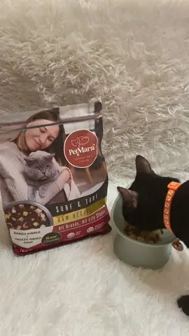 PetMarra Adult Cat and Kitten Dry Food Raw Recipe Surf and Turf 1kg for All Breeds Baked Kibble + Freeze Dried Raw Chunks #petmarra #petmarracatfood #petmarradrycatfood #surfandturf #drycatfood #catfood #kibble #freezedried 