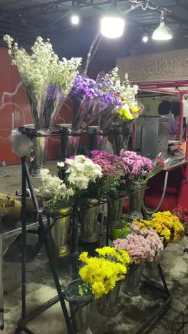 Terimakasih yang semalam sudah mampir ke both yaa,untuk malam nanti kita buka seperti biasa,jangan lupaa mampir dan untuk pemesanan online kita masih ready bisa dm atau wa mimin#bunga #fypage #bungapamulang #fressflowers🌸 #bungaindah #fyp #wargatangsel #fyppppppppppppppppppppppp 