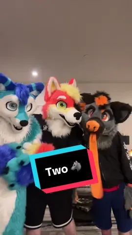 Yeeeees two special 🐺 inside of me 💅🏼 ft @adhd infused yeenbean™️ and @BrinceTheHusky 