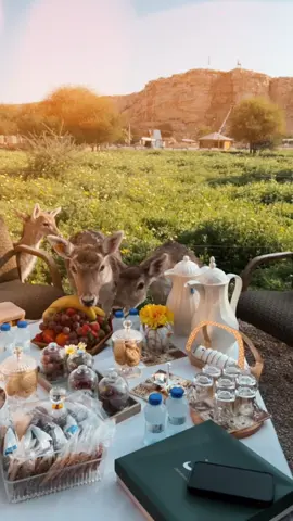 اكثر ترند متحمسه له👌🤣. . . #اكسبلوررررر #capcut #explor #riyadh🇸🇦 