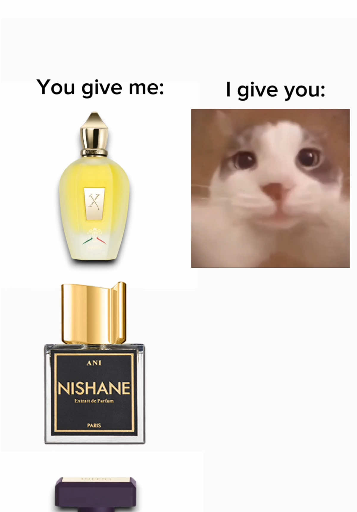 #fy #fyp #nekedbe #fragrance #fragrancetiktok #parfum #parfüm #xerjoff #nishane #initio #perfumetiktok 