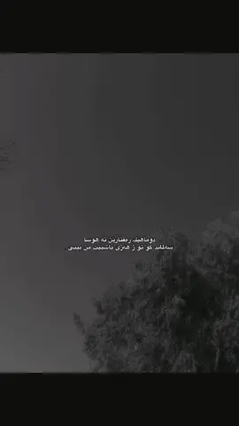 🖤 #zakho #kurd #kurdistan #viral 