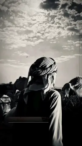 #اكسبلورexplore #نجران_السعوديه #قصيده_شعر_بوح_خواطر 