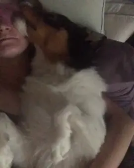 waking up to dog kisses is the best ❤️ #dog #dogkiss #makeout #doglickingface #doglick 