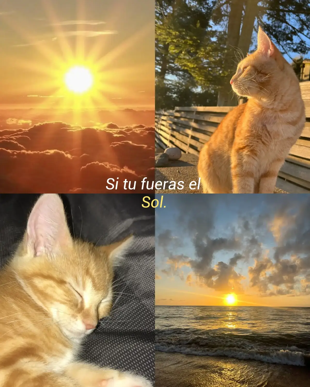 Y tú eres mi sol.  #eclipse  #foryoupage #foryou #Love #viral #followme #tiktok #xyzbca #greenscreen #VoiceEffects #fyp #LoveIsLove #couple #wlw #sol #luna  #wlwtiktok🏳️‍🌈 #xyzbca #girl 