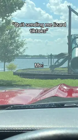 #Meme #MemeCut #fyp #lizard #meme #pov #funny 