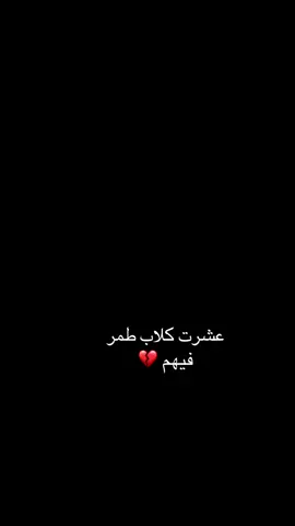 #CapCut عشرت كلاب طمر فيهم 💔