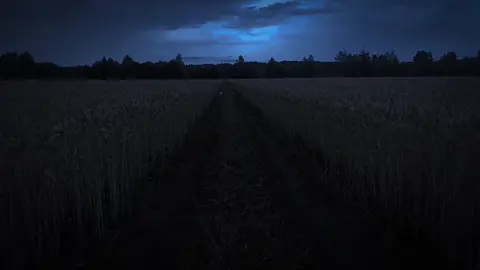 сори за тряску,промок насквозь.. #rek #nature #real #recommendations #beauty #вайб #щп #щитпост #depresed #apathy #realrealreal #fr #forreal #sad 