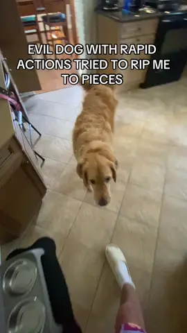 #evildog