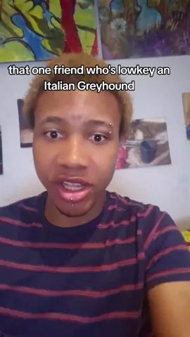 that one friend who's lowkey an italian greyhound #jevetter #skit #dog #fyp 