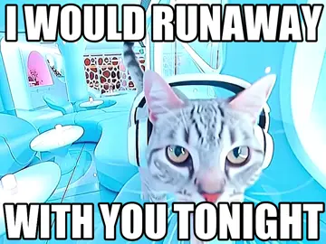 frutiger aero cats are my favorite #frutigeraero #frutigermetro #cats #jumpstyle  