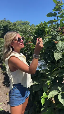 Down here we pick our berries and men with love and care💋