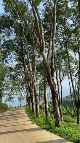 cikidang emng seadem ini🥰