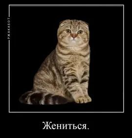 #культсашисобакина #тпох #thepromiseofhope #кишлак #гречка #антонтяночкин #сашасобакин 