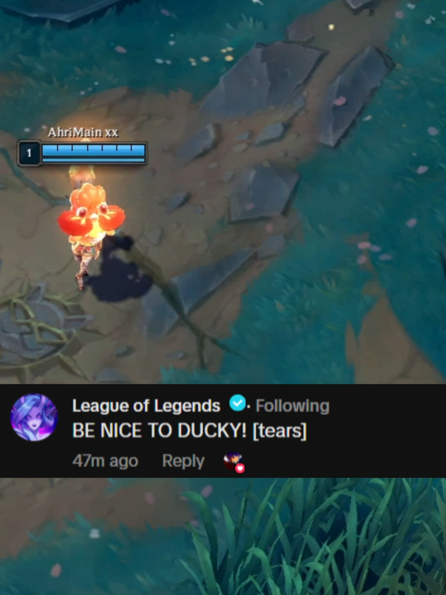 Okay, what about the fishy? From After Hours Spirit Blossom Springs Ahri? #leagueoflegends #league #sett #gaming #funny#fyp #ahri #settxahri #ahrixsett