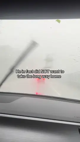 These random storms in NJ have been crazy! We were so close to home and then a hailstorm & tornado happened #fy #nj #rainstorm #longwayhome #viraltiktok 