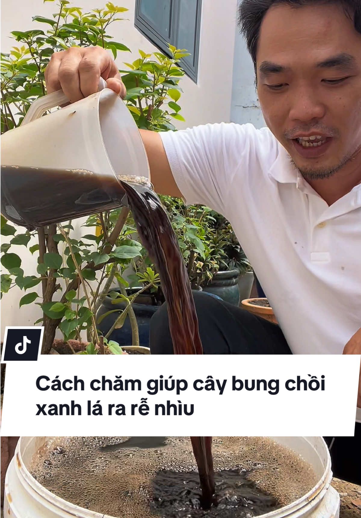 Ở nhà Hùng hay dùng Humic tưới cây định kỳ, thấy đất tơi – rễ bung mạnh – cây khỏe hơn hẳn. Anh chị trồng chậu lâu năm thử tưới vài lần xem có khác không nha.#hungraushop #vườnnhà #trongcaytainha #humic #chamsoccay #trongcaychauchannam #caycanh #lamvuon #xuhuong #phanbon 