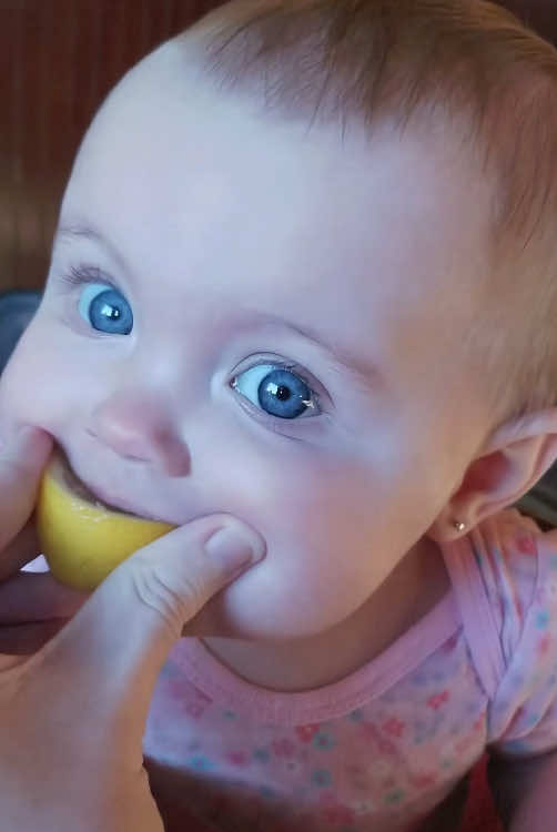 Baby’s first attempt at lemon 🍋🤣 #baby #funny #funnyvideos #tiktok #foryou 