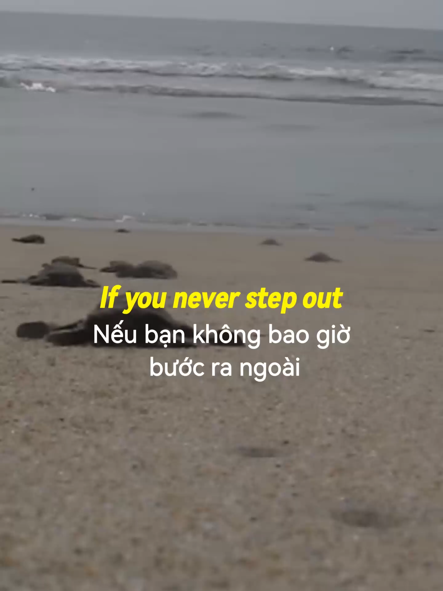 The only limits are the ones you set for yourself… #tienganh #english #motivation