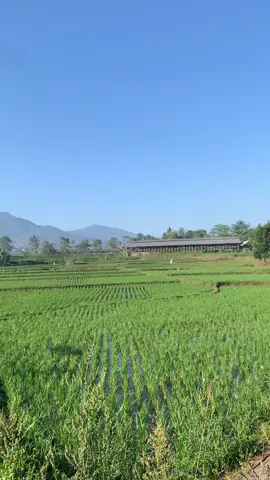 #doelsumbang #pemandangan #sunda #xybca 