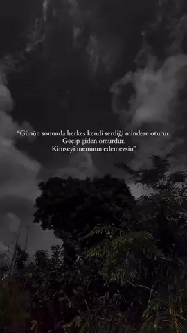 🕊️🕊️🕊️