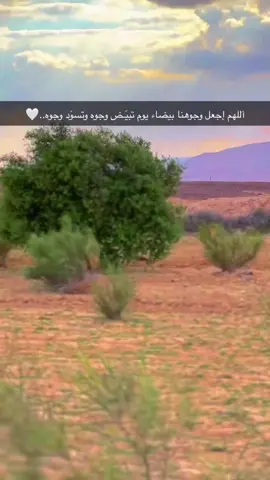#عليكم_بالصلاة❤_فهي_صلة_بينك_وبين_ربك❤❤ #هاشتاقات_اسلاميه #اذكار_الصباح_والمساء #اكسبلورررررررررررررررررررر 