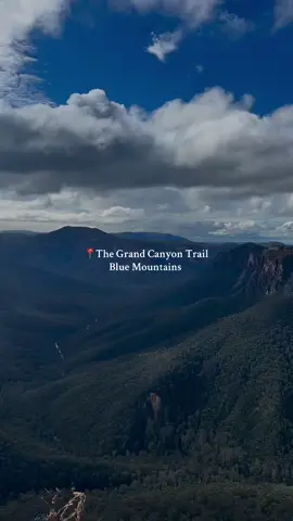 Stunning 🥹    #bluemountains #bluemountainsnsw #visitnsw #grandcanyontrack #nswnationalparks 