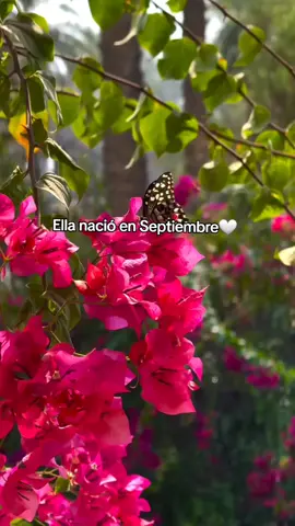 Ella nació en Septiembre 🤍 #paratiiiiiiiiiiiiiiiiiiiiiiiiiiiiiii #paratiiiiiiiiiiiiiiiiiiiiiiiiiiiiiii #september #septiembre #september #girls #foryou 
