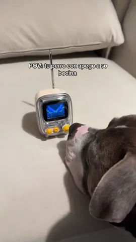Es tan lindo🐶🫶🏼   #divoom #speaker #dogsoftiktok #pixel #divoomspeaker #pixeles #dog #pitbull