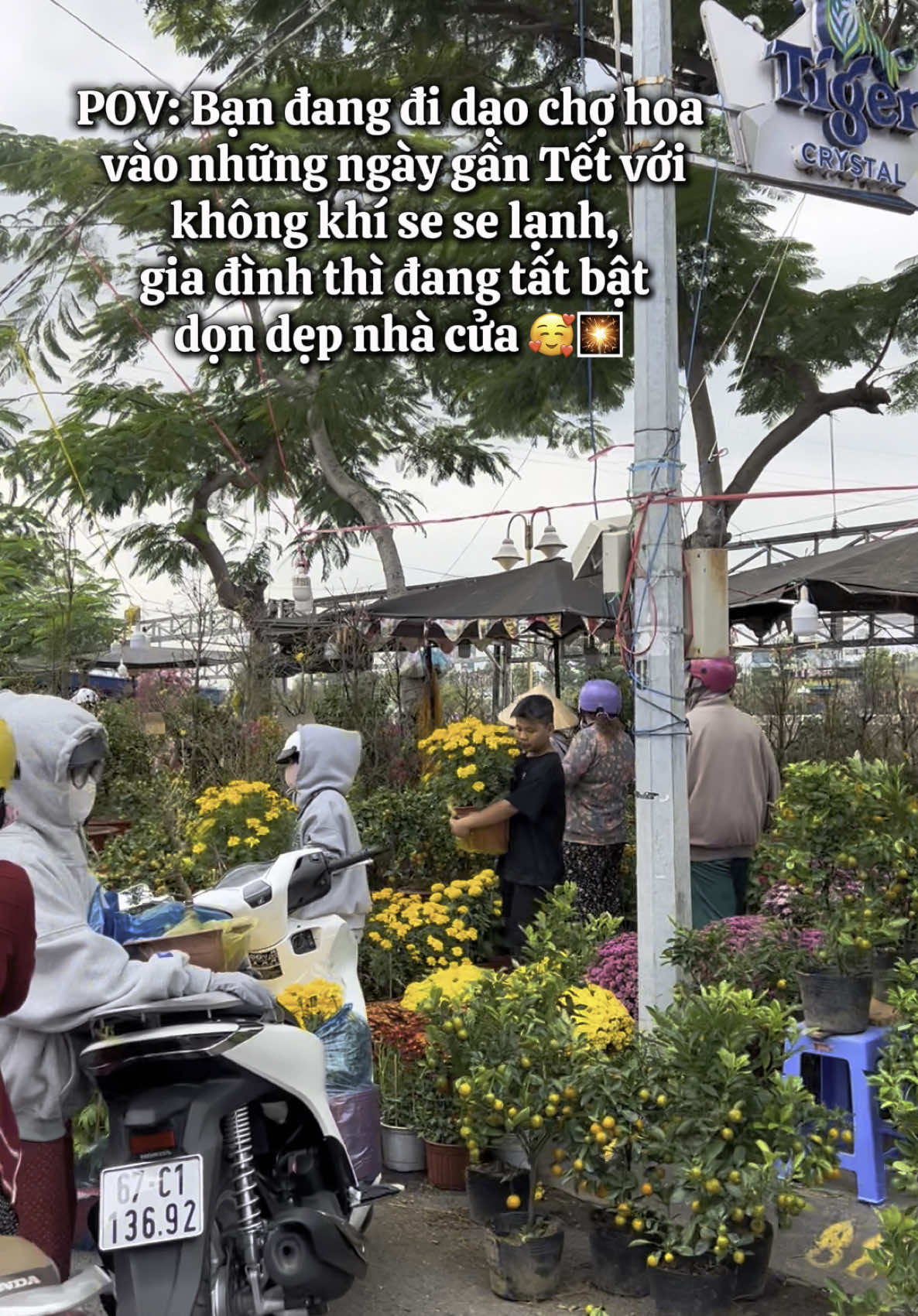 ‼️‼️ NHẮC NHẸEEE: chỉ còn đúng 199 NGÀY nữa thôii là đến Tết Nguyên Đán Bính Ngọ rồi, chuẩn bị mua sắm quần áo mới, dọn dẹp nhà cửa thôi nào mấy ní ơiiii!! 🧧🤩 ✨T ết này nhất định phải quay về nhà để cùng gia đình đón 1 cái Tết thật sum vầy đó nhaaaa!! 🫵😝 📸: Lòng Vòng An Giang  #xuhuongtiktok #POV #tetgiaucuame #tetnguyendan #tetnguyendanbinhngo2026 #tetvietnam #Tet2026 #chohoalongxuyen #angiang #LongVongAnGiang