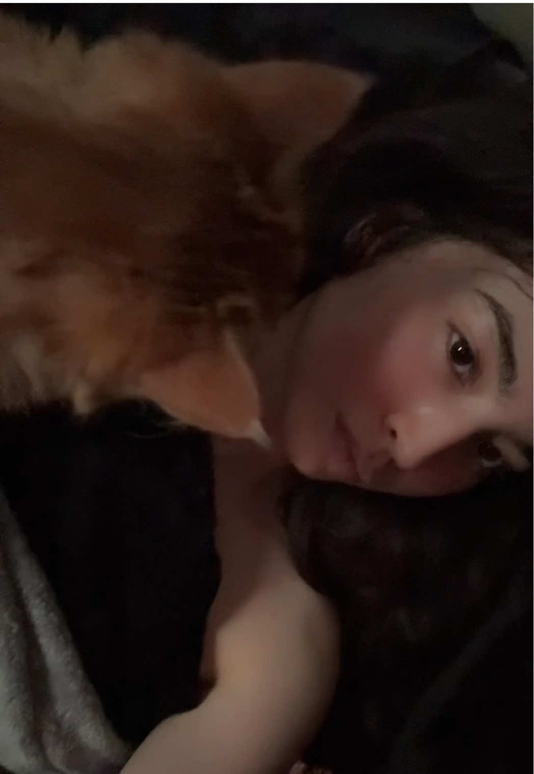Bby bois 🐾 #meow #fypシ゚viral #anime #egirl #fypシ 